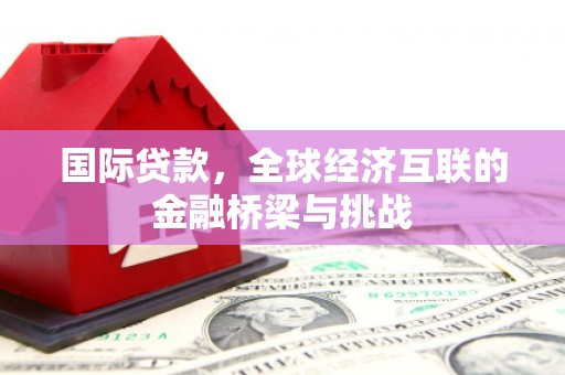 东阿国际贷款，全球经济互联的金融桥梁与挑战