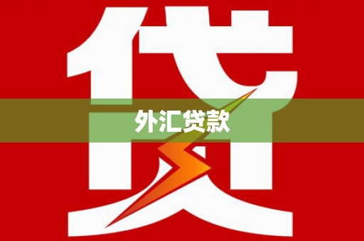 东阿外汇贷款
