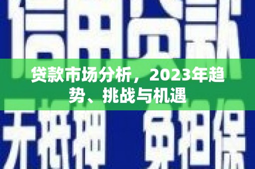 东阿贷款市场分析，2023年趋势、挑战与机遇