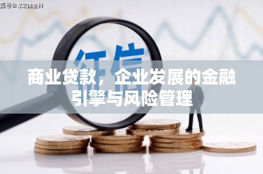 东阿商业贷款，企业发展的金融引擎与风险管理