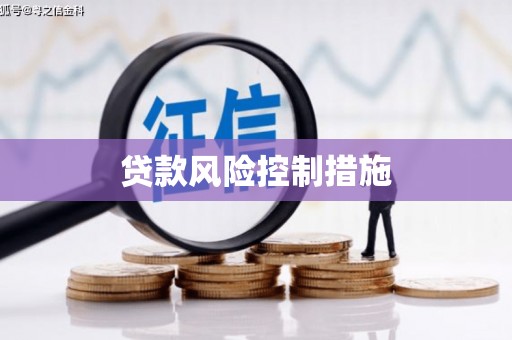 东阿贷款风险控制措施