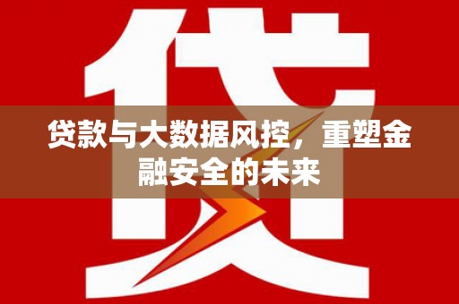 东阿贷款与大数据风控，重塑金融安全的未来