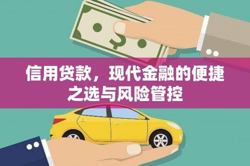 东阿信用贷款，现代金融的便捷之选与风险管控