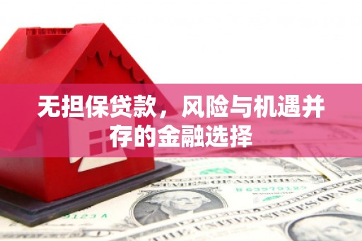 东阿无担保贷款，风险与机遇并存的金融选择