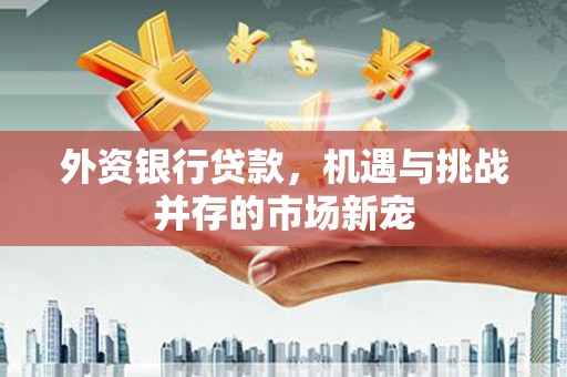 东阿外资银行贷款，机遇与挑战并存的市场新宠