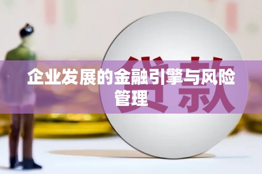 东阿企业发展的金融引擎与风险管理