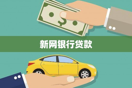 东阿新网银行贷款
