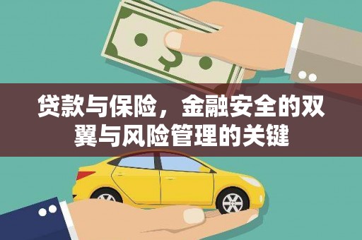 东阿贷款与保险，金融安全的双翼与风险管理的关键