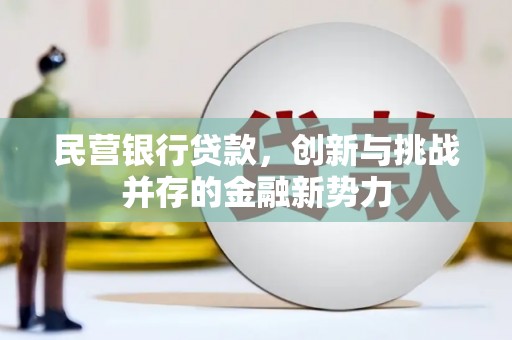 东阿民营银行贷款，创新与挑战并存的金融新势力