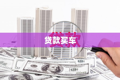 东阿贷款买车