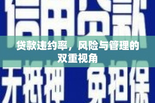 东阿贷款违约率，风险与管理的双重视角