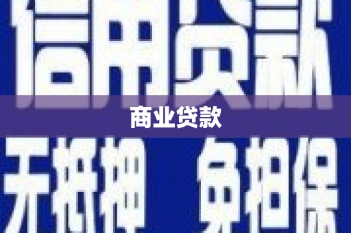 东阿商业贷款