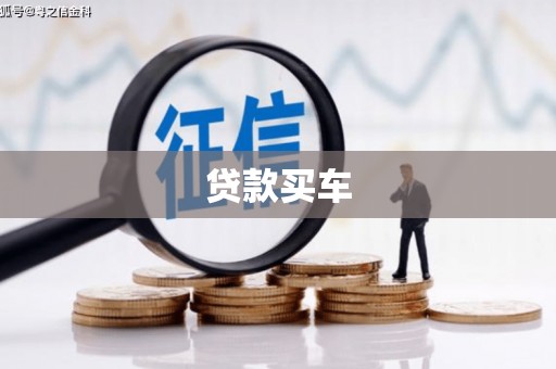 东阿贷款买车