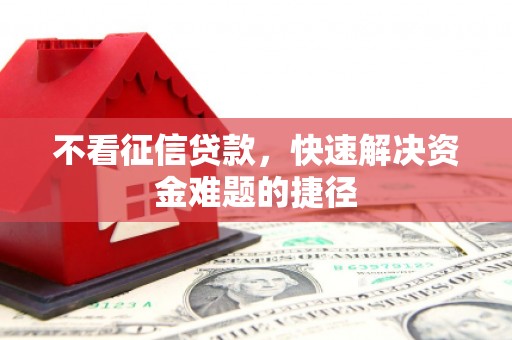东阿不看征信贷款，快速解决资金难题的捷径