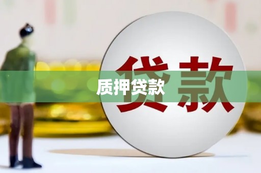 东阿质押贷款
