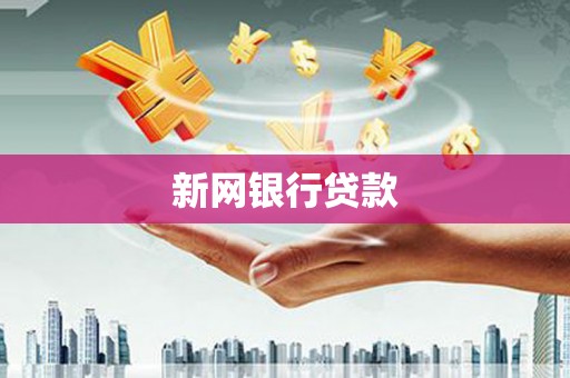东阿新网银行贷款