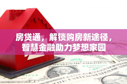 东阿房贷通，解锁购房新途径，智慧金融助力梦想家园
