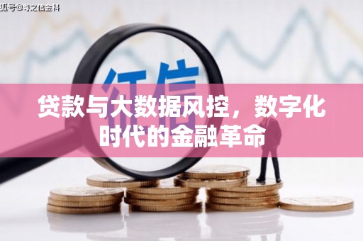 东阿贷款与大数据风控，数字化时代的金融革命