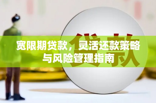 东阿宽限期贷款，灵活还款策略与风险管理指南