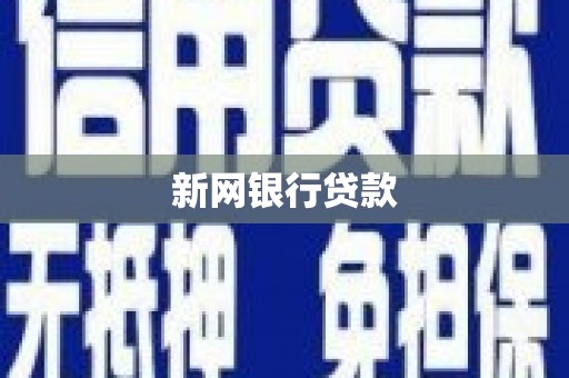 东阿新网银行贷款
