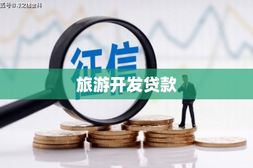 东阿旅游开发贷款