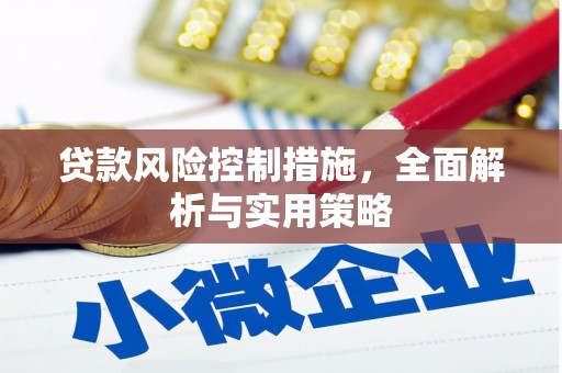 东阿贷款风险控制措施，全面解析与实用策略