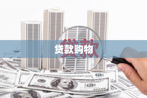 东阿贷款购物