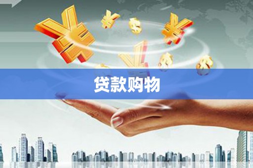 东阿贷款购物