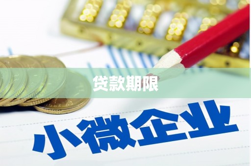 东阿贷款期限
