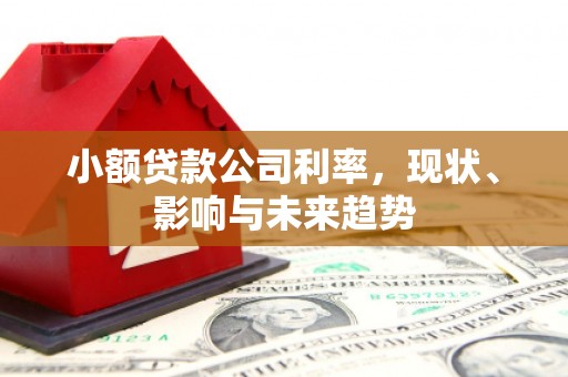 东阿小额贷款公司利率，现状、影响与未来趋势