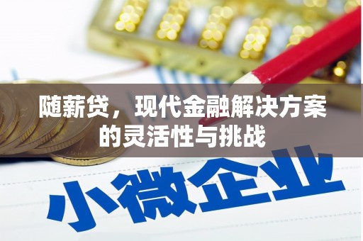 东阿随薪贷，现代金融解决方案的灵活性与挑战