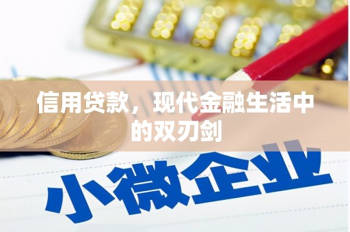 东阿信用贷款，现代金融生活中的双刃剑