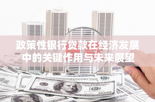 东阿政策性银行贷款在经济发展中的关键作用与未来展望