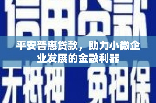 东阿平安普惠贷款，助力小微企业发展的金融利器