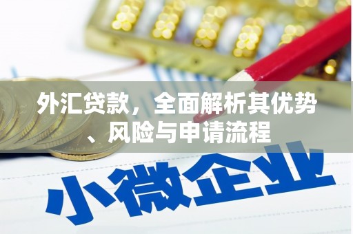东阿外汇贷款，全面解析其优势、风险与申请流程