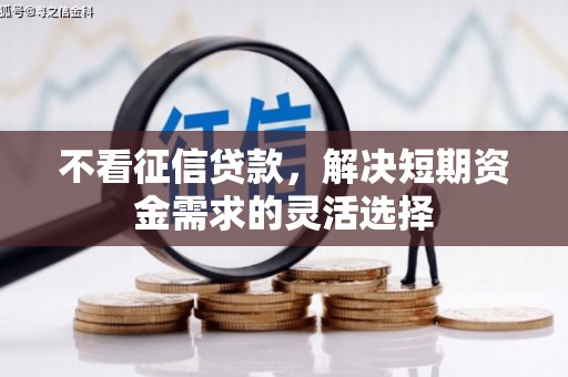 东阿不看征信贷款，解决短期资金需求的灵活选择