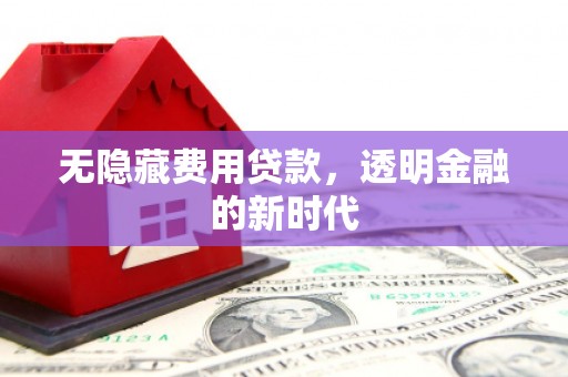 东阿无隐藏费用贷款，透明金融的新时代