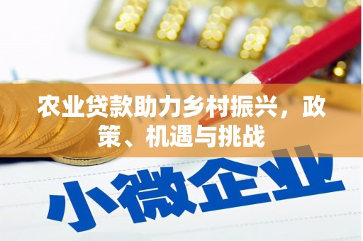 东阿农业贷款助力乡村振兴，政策、机遇与挑战