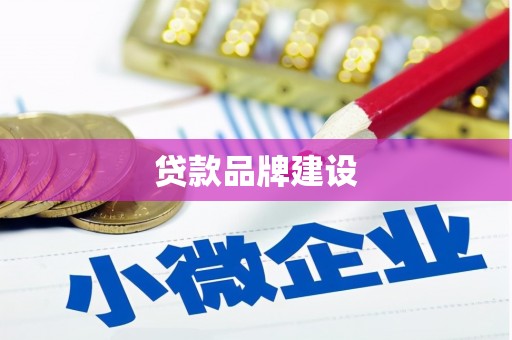 东阿贷款品牌建设