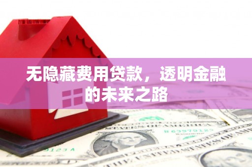 东阿无隐藏费用贷款，透明金融的未来之路
