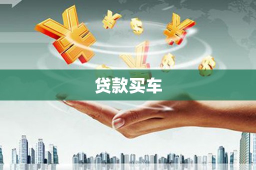 东阿贷款买车