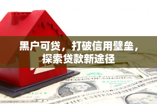 东阿黑户可贷，打破信用壁垒，探索贷款新途径