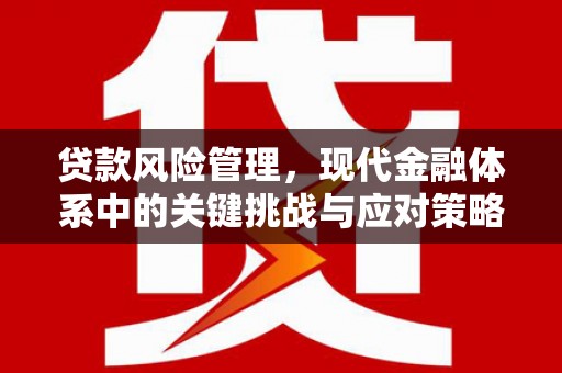东阿贷款风险管理，现代金融体系中的关键挑战与应对策略