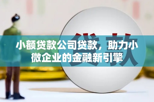 东阿小额贷款公司贷款，助力小微企业的金融新引擎
