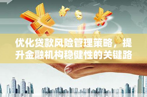 东阿优化贷款风险管理策略，提升金融机构稳健性的关键路径