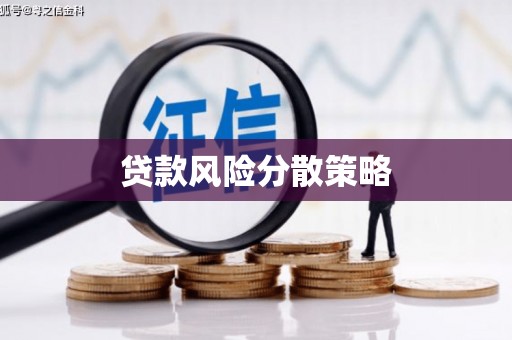 东阿贷款风险分散策略
