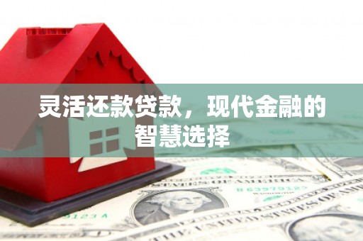 东阿灵活还款贷款，现代金融的智慧选择