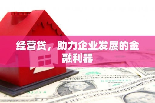 东阿经营贷，助力企业发展的金融利器