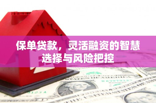 东阿保单贷款，灵活融资的智慧选择与风险把控