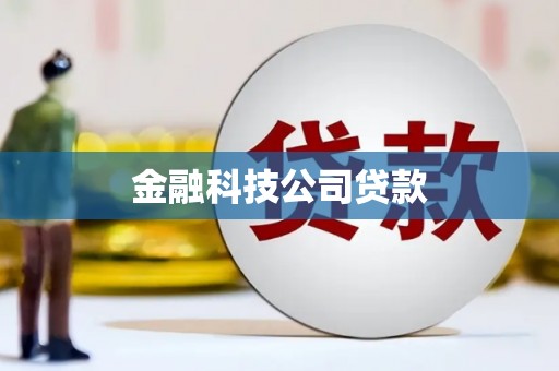 东阿金融科技公司贷款